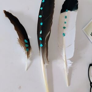 Decorative Feathers with Turquoise Accents